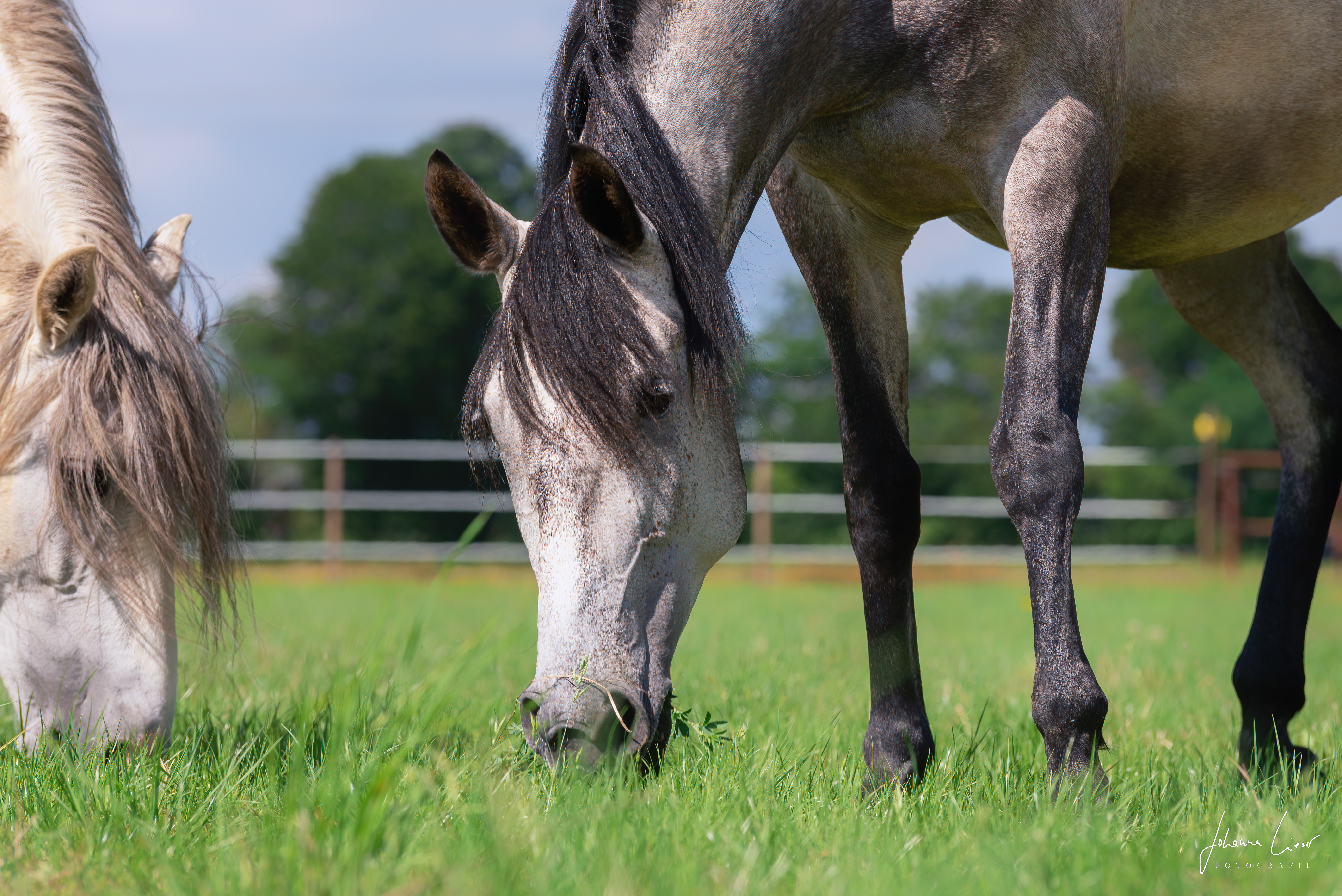 Beratung & Behandlung