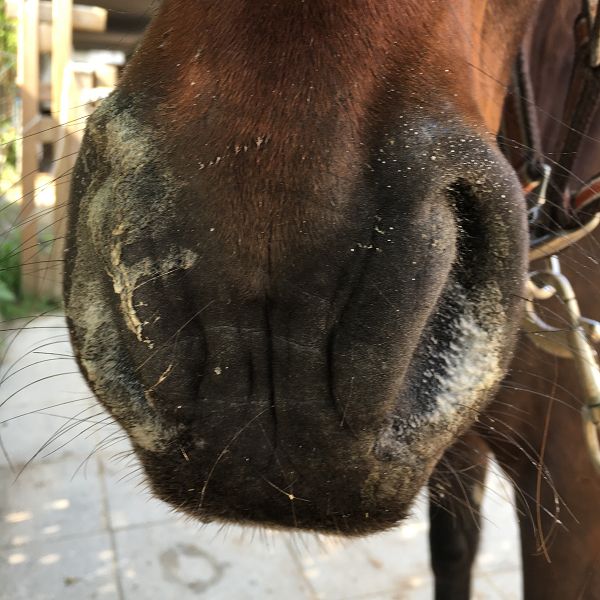 Ganzheitliche Therapie