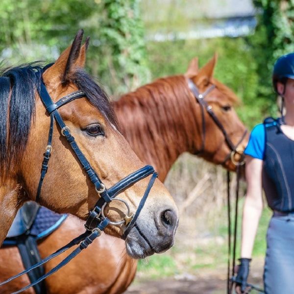 Folgende Sachen fallen mir spontan ein, die ich früher benutzt habe, aber heute nicht mehr besitze: