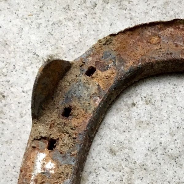 Philosophie am Pferd