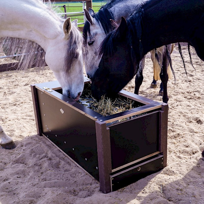 Ein Dutzend Vorteile für gesunde Pferde