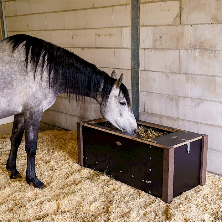 Befüllen, benebeln, inhalieren – so funktioniert es