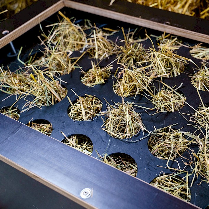 Lochplatte oder Heunetz: Große Auswahl bei der Heuabdeckung