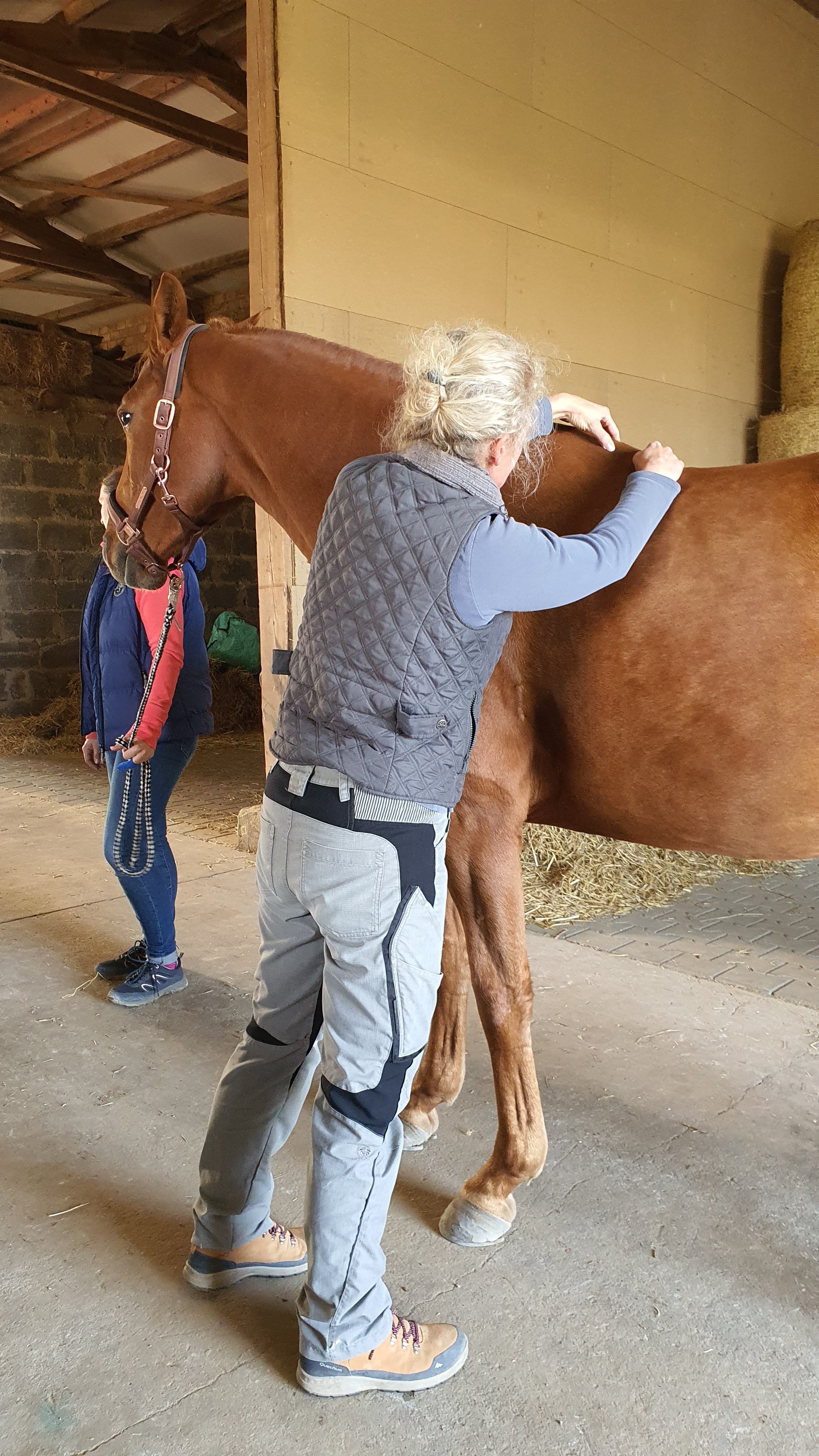Warum verschieben sich Becken und Wirbel?
