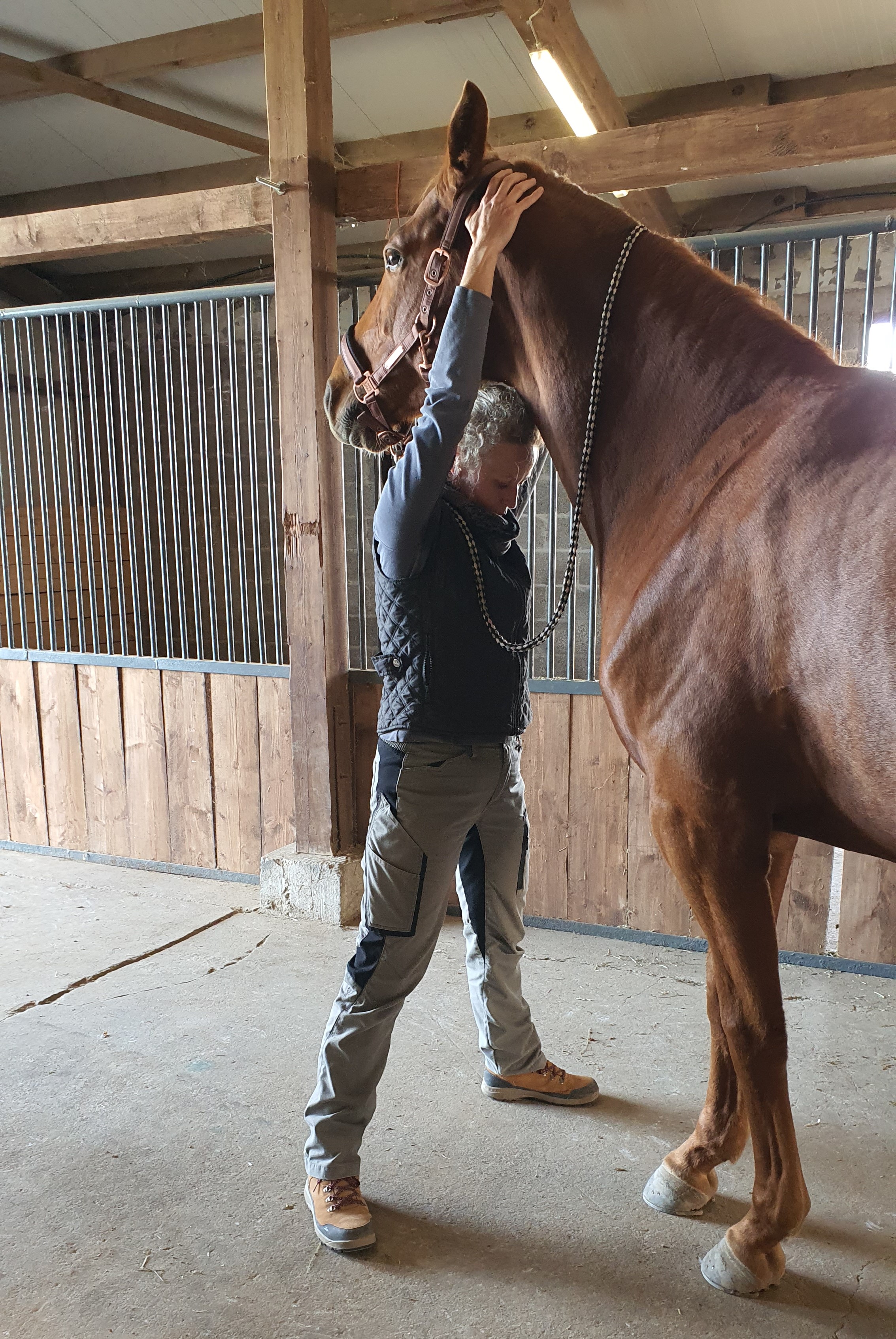 Wie aus kleinen Blockaden eine Schiefstellung entsteht
