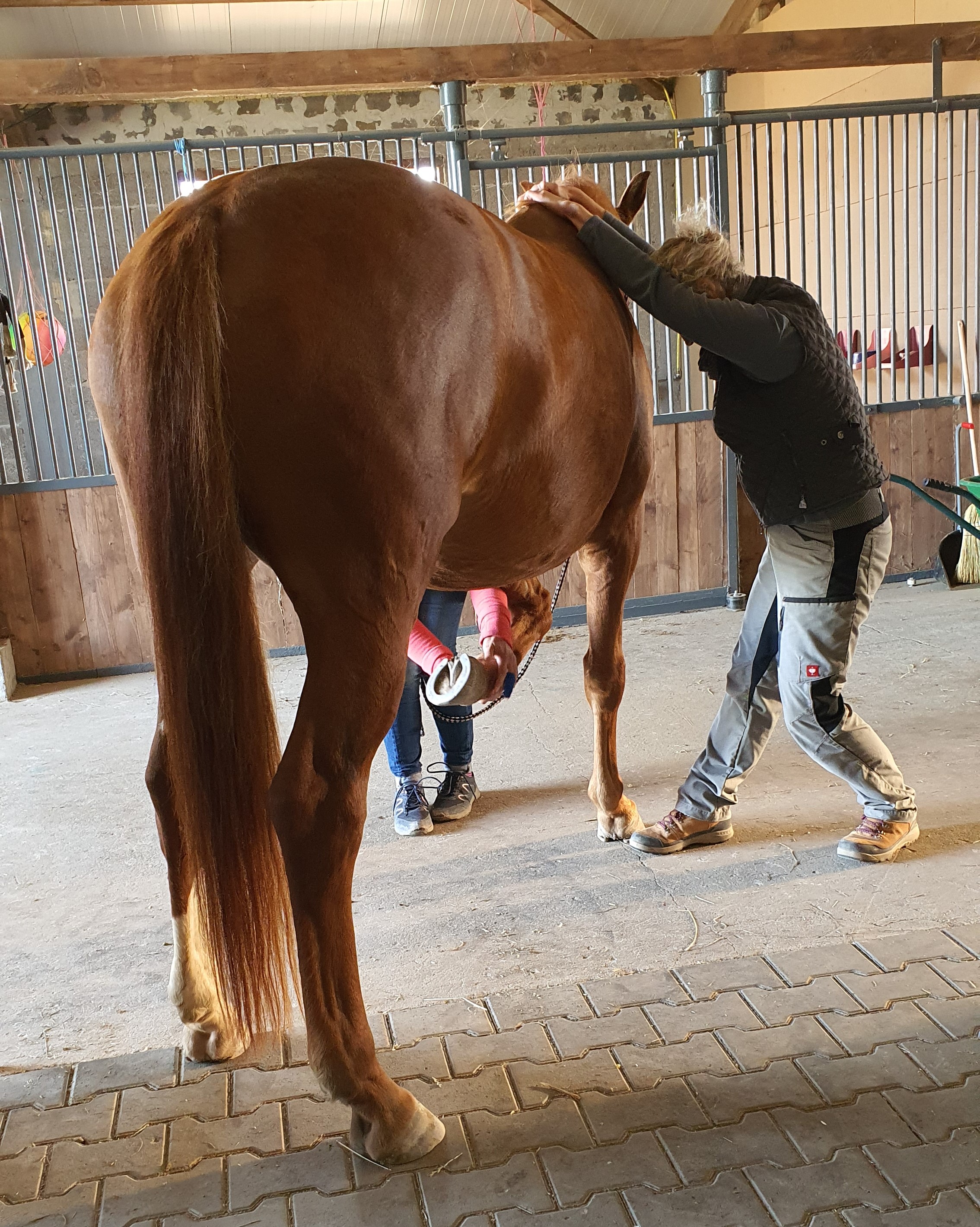 Einfluss von Blockaden auf den Energiefluss und das Nervensystem