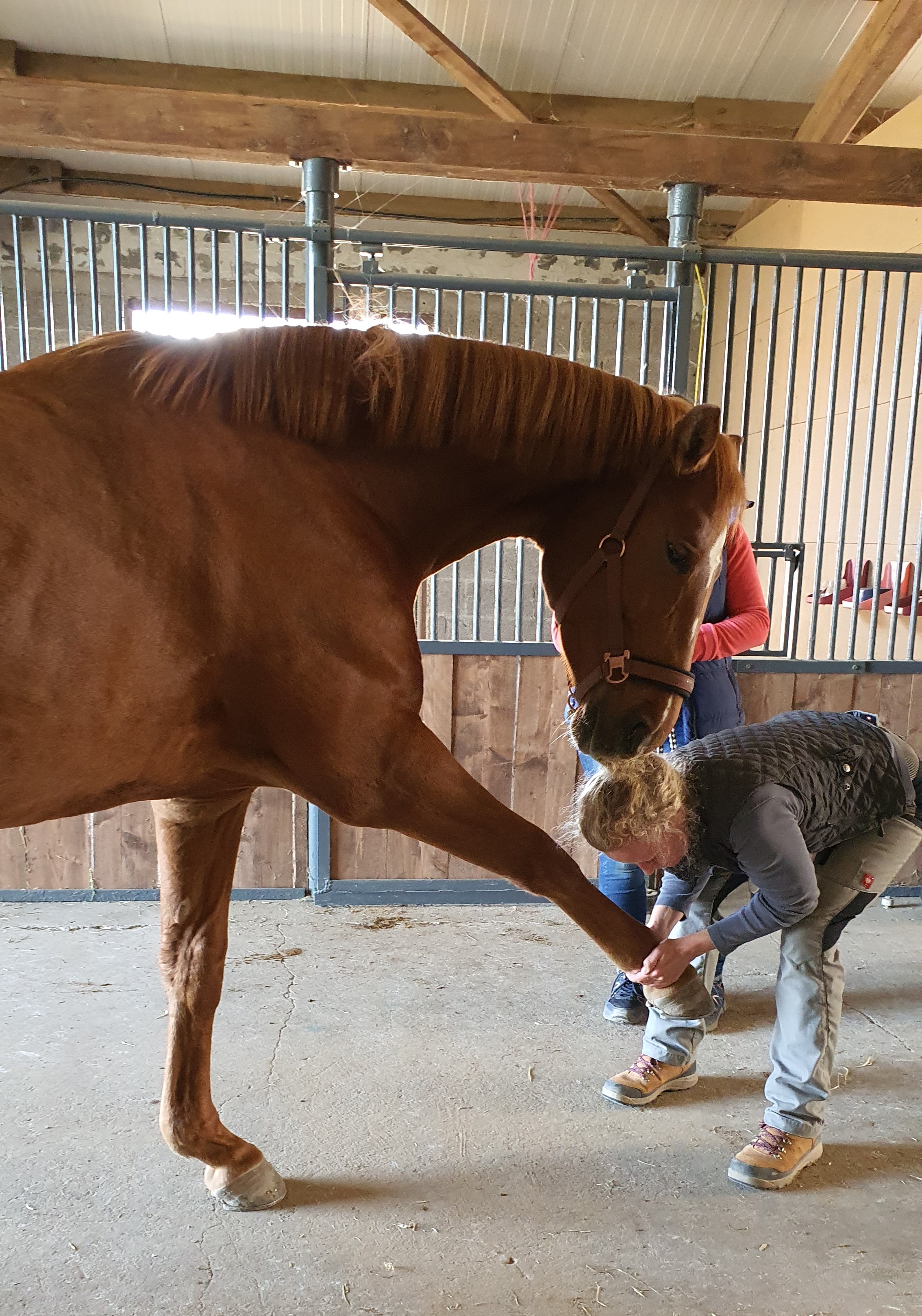 Indikationen und Kontraindikationen