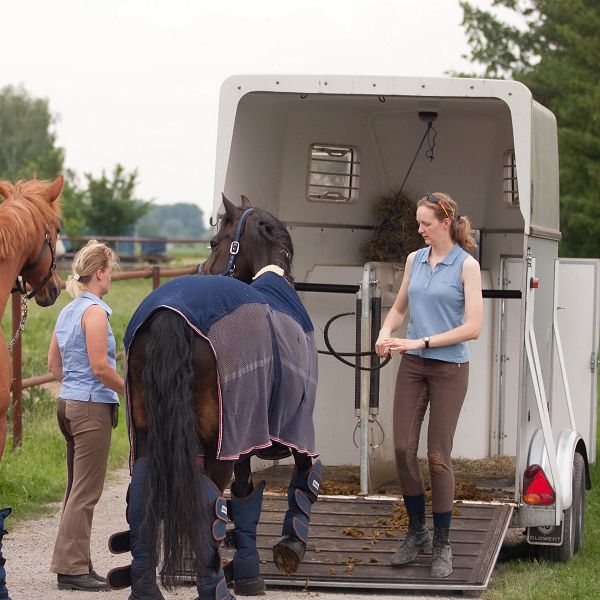 Warum haben Pferde Angst vor dem Pferdeanhänger?