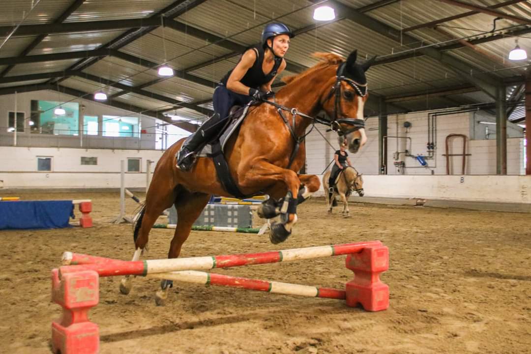 Partnerschaft festigen