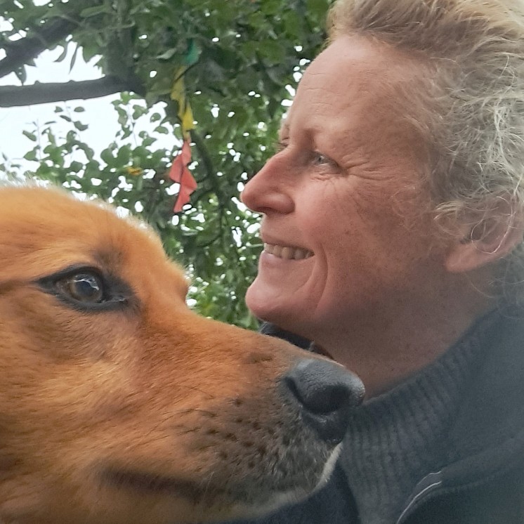 Individuelle Beratung für optimale Versorgung