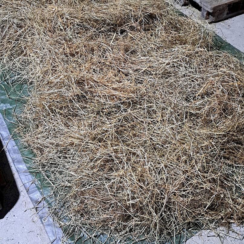 Heubehandlung für 1-2 Pferde